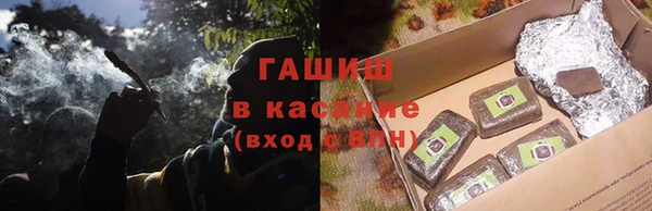 гашик Алексин