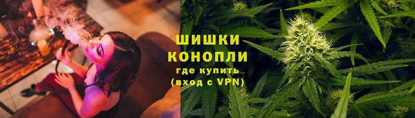 гидра Алзамай