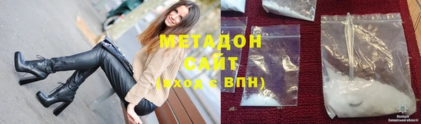 гашик Алексин