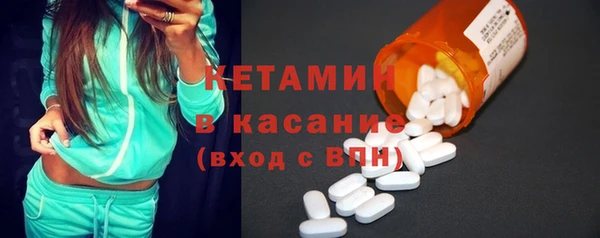 гашик Алексин