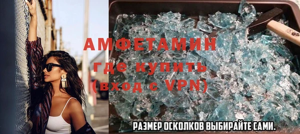 гашик Алексин