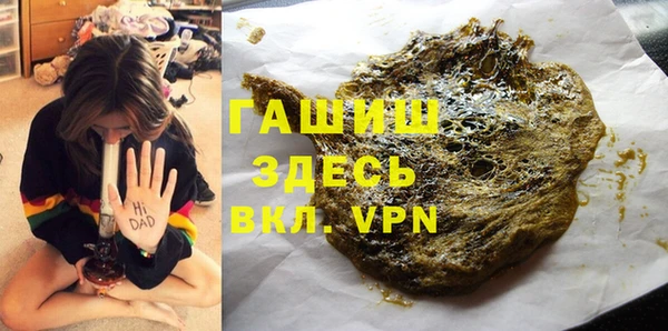гашик Алексин