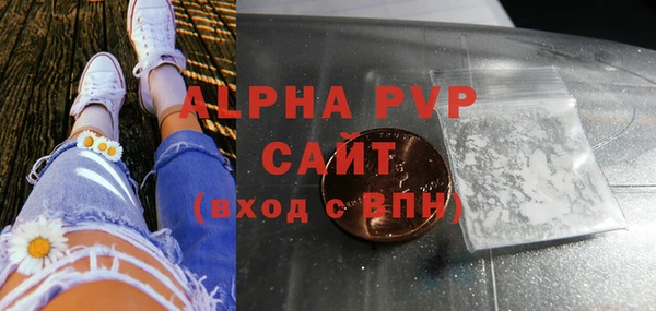 гашик Алексин