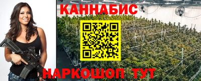 спиды Моздок
