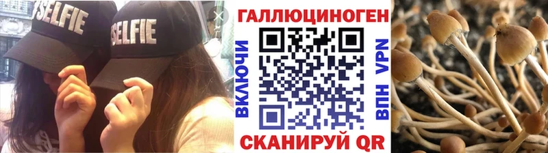 Псилоцибиновые грибы прущие грибы  Фролово 