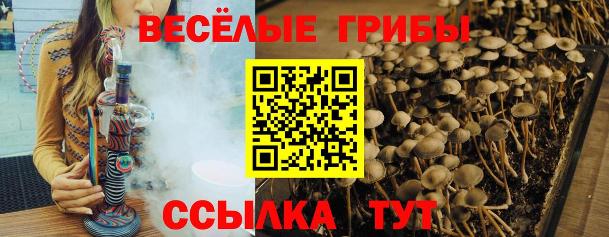 Фролово  Псилоцибиновые грибы мицелий  Галлюциногенные грибы ЛСД  Вход с VPN 