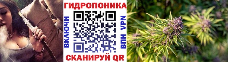 Шишки марихуана Ganja  Фролово 